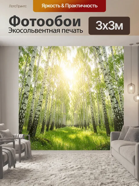 Фотообои Солнечная берёзовая роща