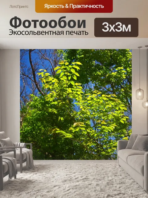 Фотообои ярко-зеленые листья на деревьях