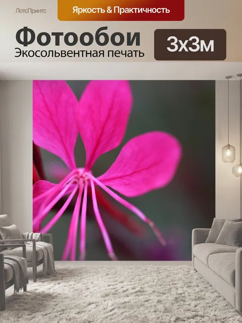 Фотообои Экзотический цветок