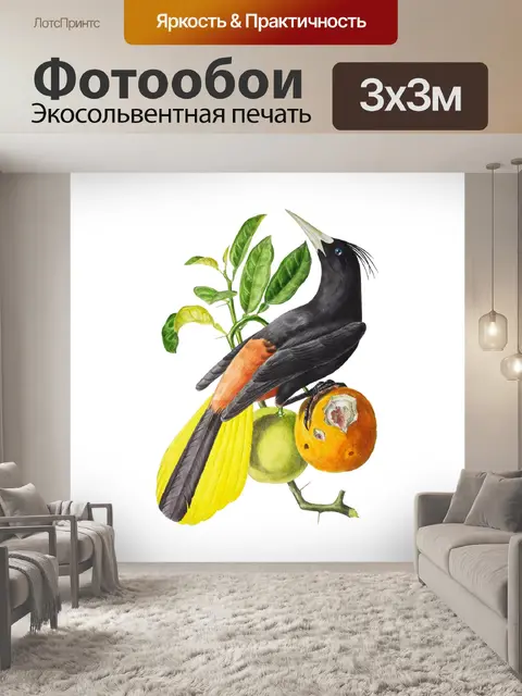 Фотообои Винтажное Искусство Птицы