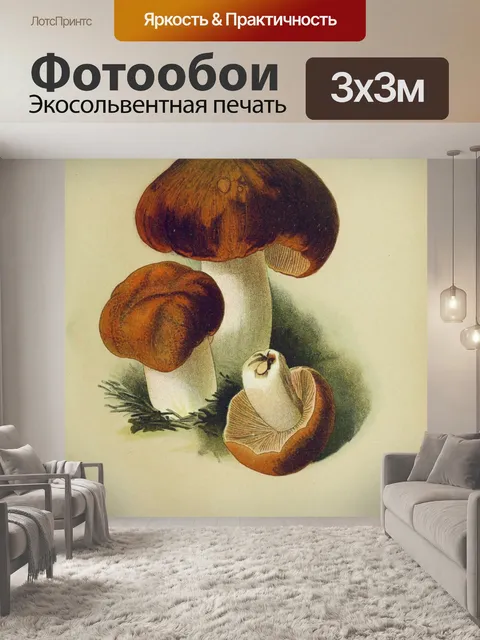 Фотообои Грибы ядовитые старинные искусства