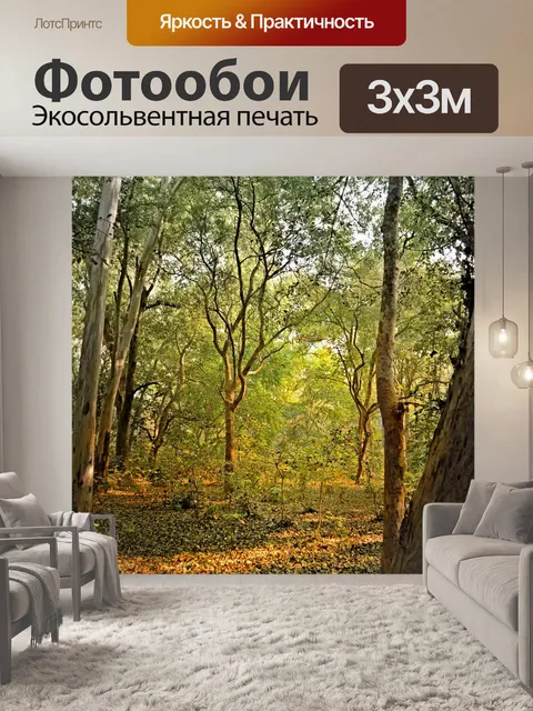 Фотообои Лесной фон 1