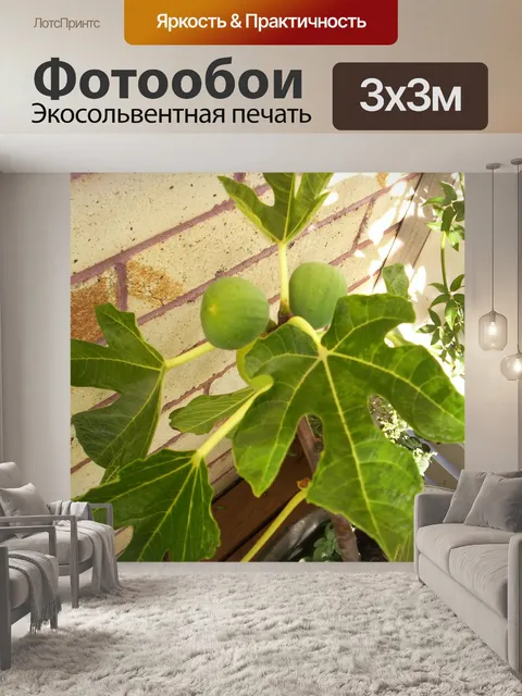 Фотообои Инжир на смоковнице