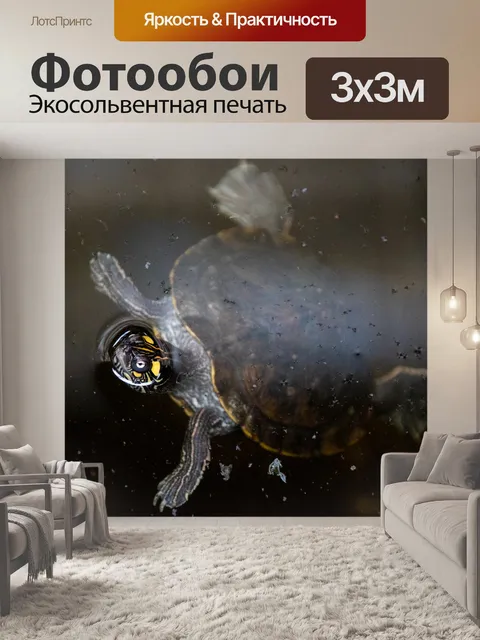 Фотообои Черепаха дышит в воде