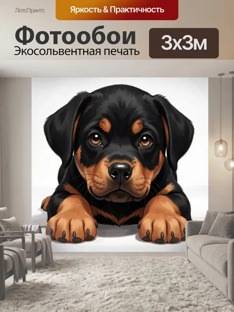 Фотообои Щенок ротвейлера крупным планом