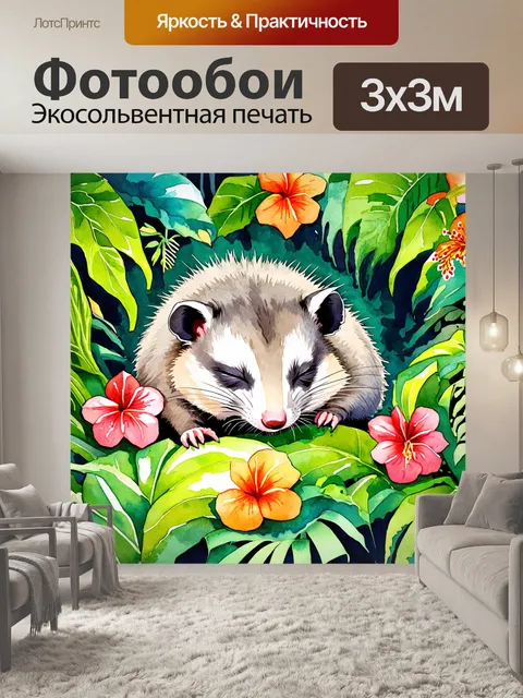Фотообои изображение опоссума
