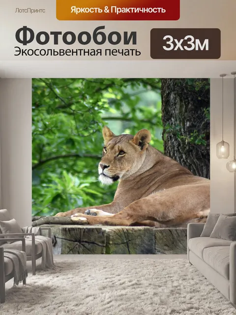 Фотообои Лев