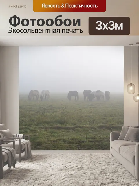 Фотообои Лошади