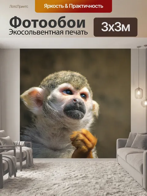 Фотообои Обезьяна