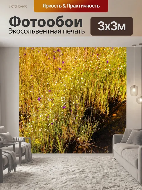 Фотообои Трава цветочное поле, полевые цветы