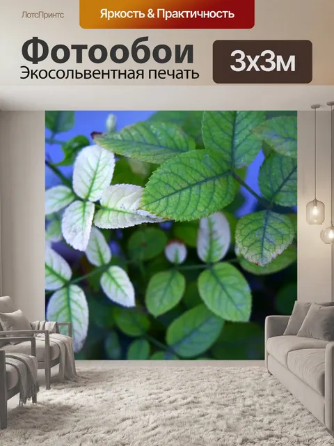 Фотообои Цветок и листва 12