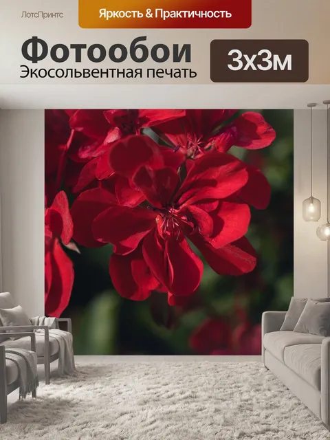 Фотообои Расцветает