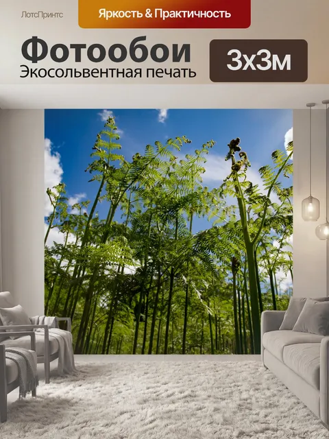 Фотообои папоротник