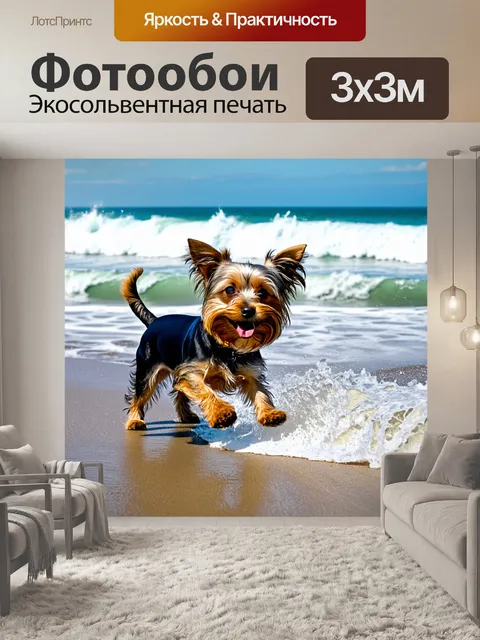 Фотообои йоркширский терьер, играющий на пляже, где волны омывают его лапы