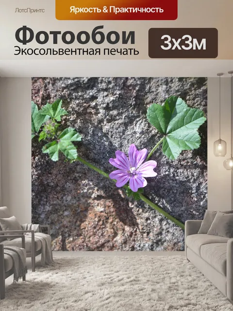Фотообои Цветок вьющиеся