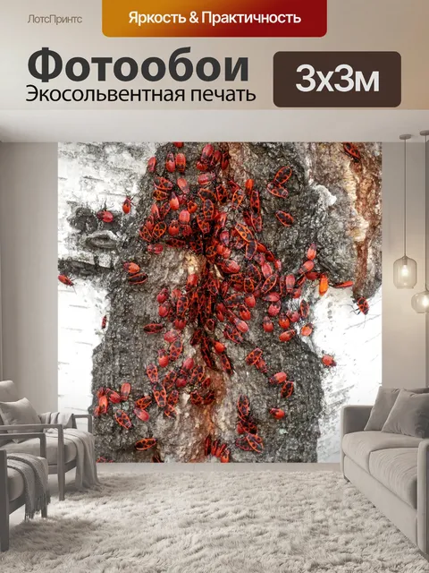 Фотообои Животные