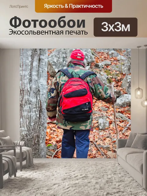 Фотообои Поход на природу