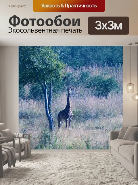 Фотообои жираф в солнечном свете в южной африке