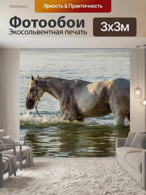 Фотообои Лошадь