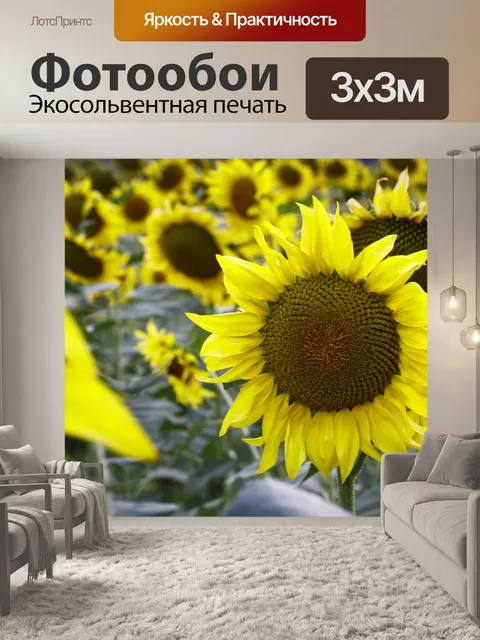 Фотообои Подсолнухи