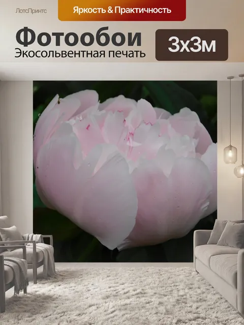 Фотообои Розовый