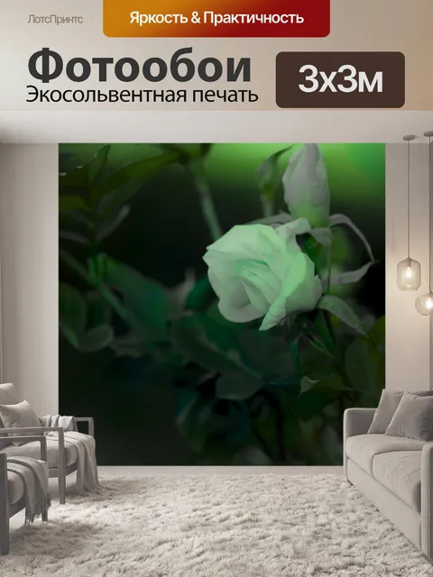 Фотообои Зеленая роза