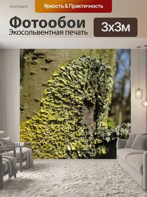 Фотообои Лишайник