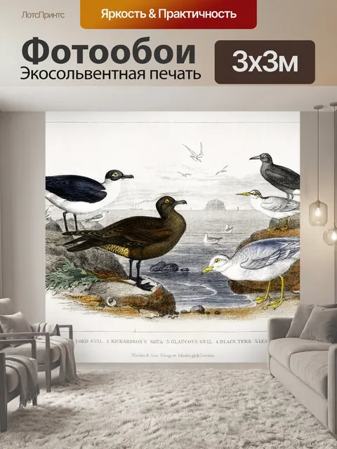 Фотообои Птицы чайки винтаж старый