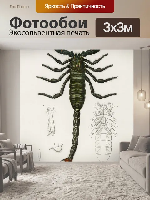 Фотообои Искусство иллюстрации Скорпиона старое