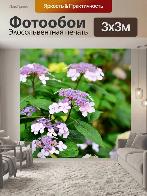 Фотообои Гортензия