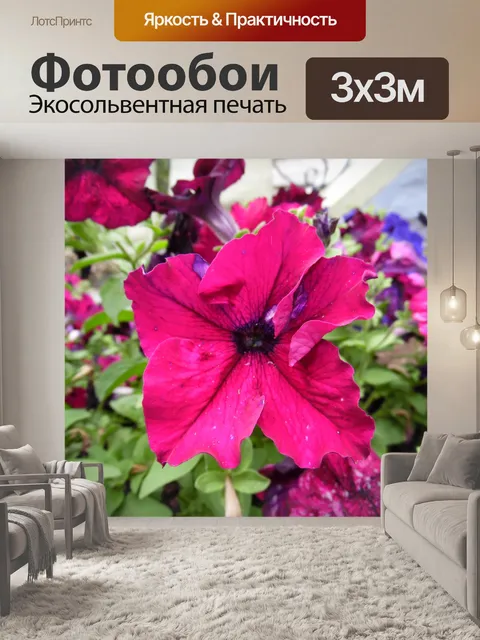 Фотообои Пурпурный цветок цвета