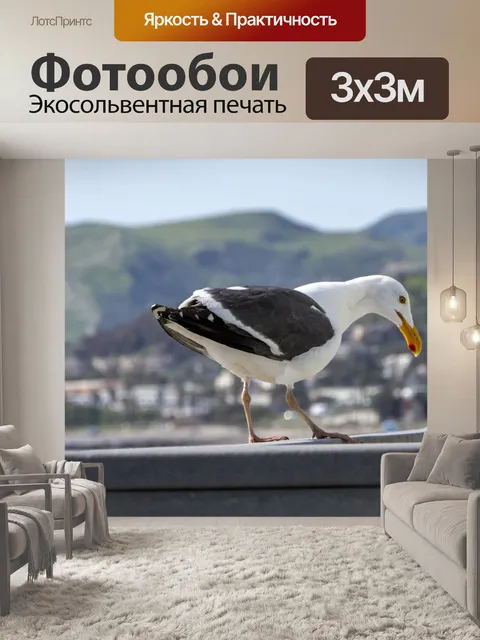 Фотообои чайка