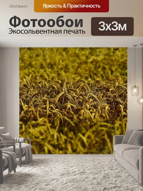 Фотообои Пшеница