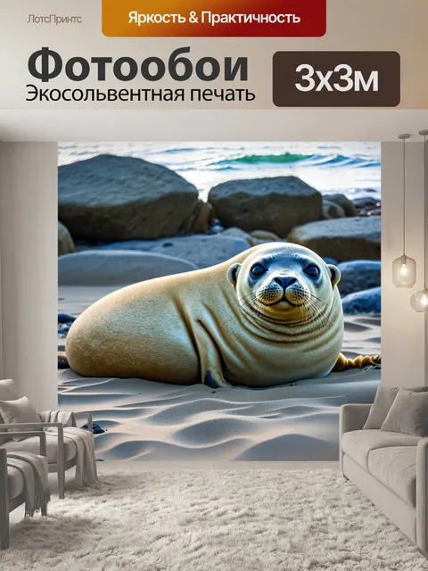 Фотообои на морском берегу, среди серых валунов, тюлень нежно свернулся клубком