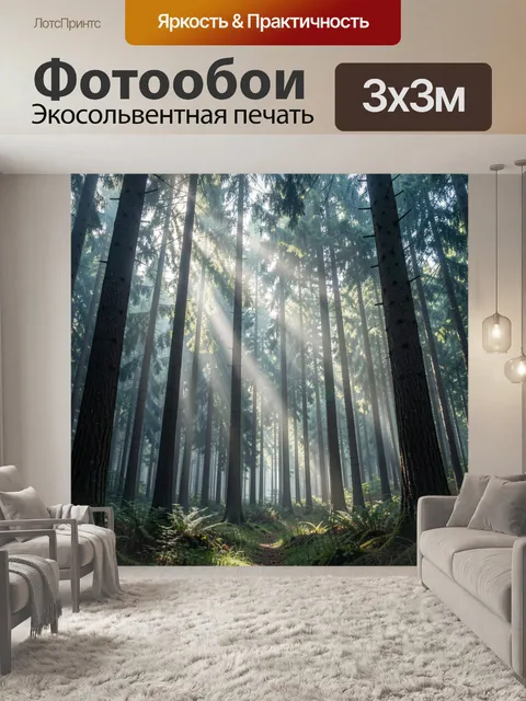 Фотообои Солнечные лучи в хвойном лесу