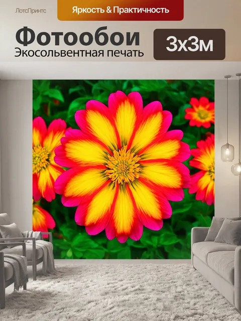 Фотообои цветы в стиле абстракции, простые формы, насыщенные цвета, элементы сюрреализма, игривые образы