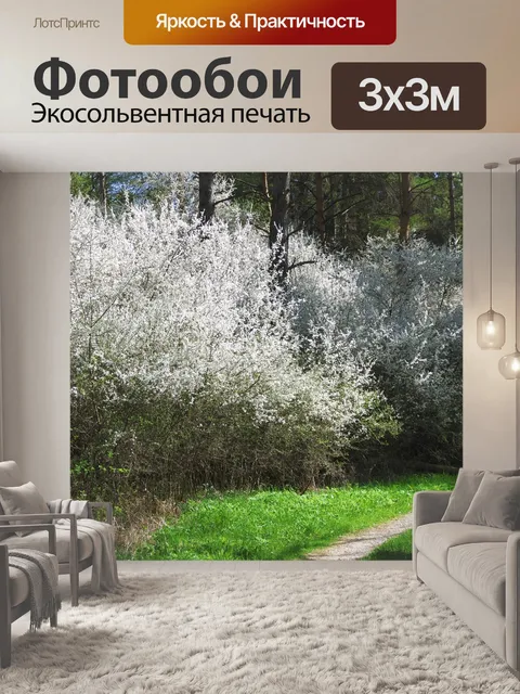 Фотообои Расцветает