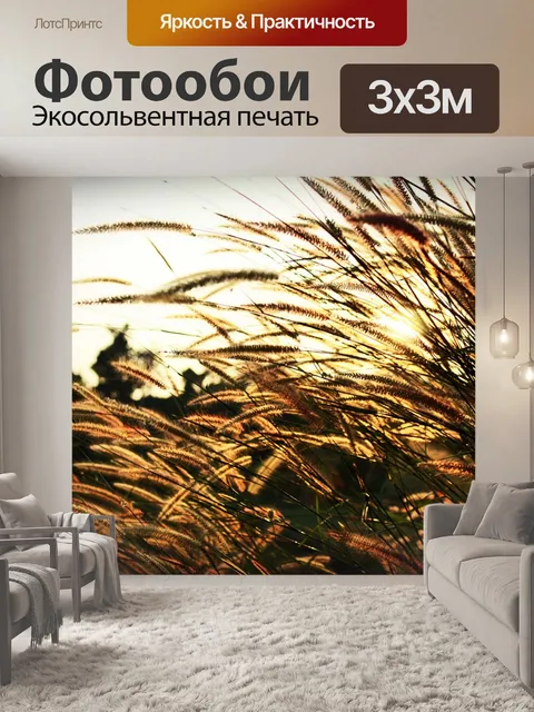 Фотообои Полевые цветы