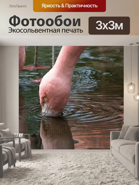 Фотообои Фламинго