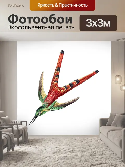 Фотообои Колибри винтаж искусство старый