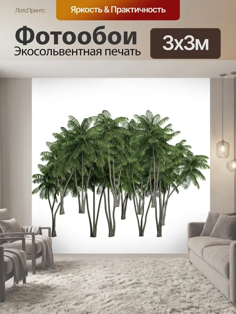 Фотообои пальмы