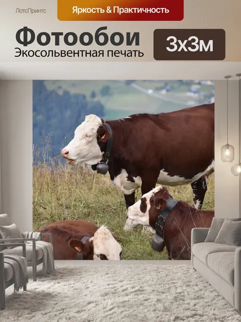 Фотообои Корова