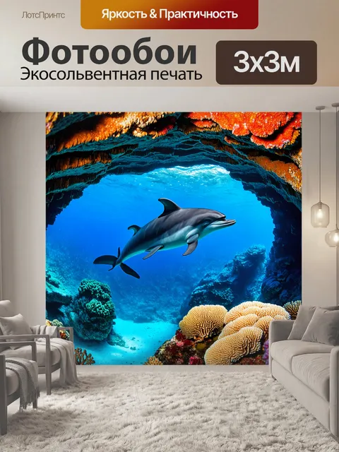 Фотообои дельфин, исследующий подводные пещеры с яркими кораллами