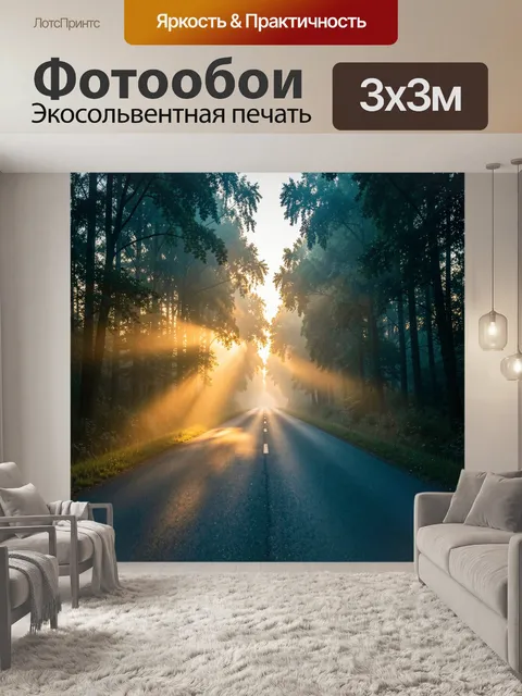 Фотообои Лесная дорога в солнечных лучах