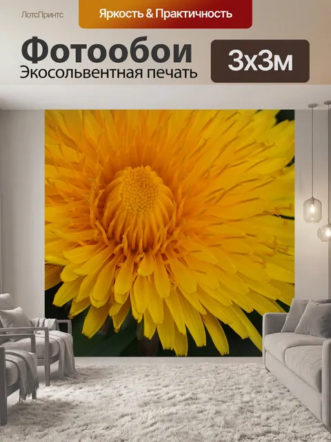 Фотообои Одуванчик