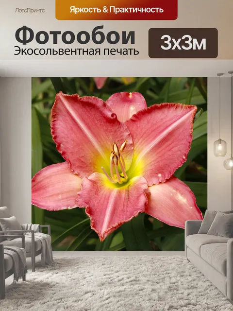 Фотообои Розовый красная лилия