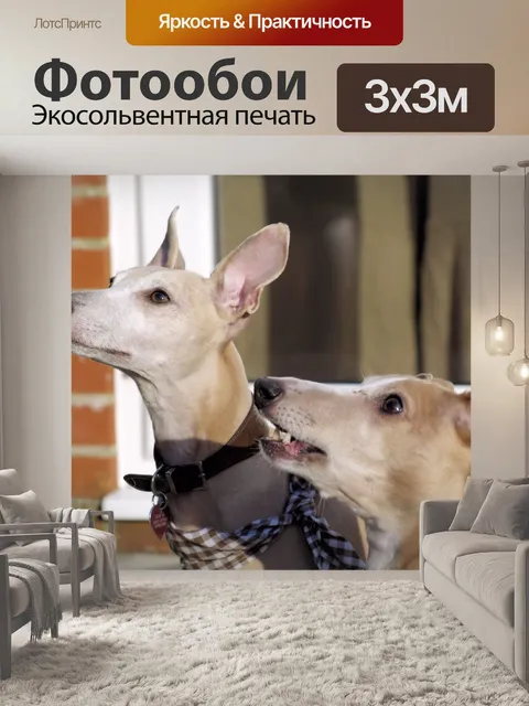 Фотообои Собаки