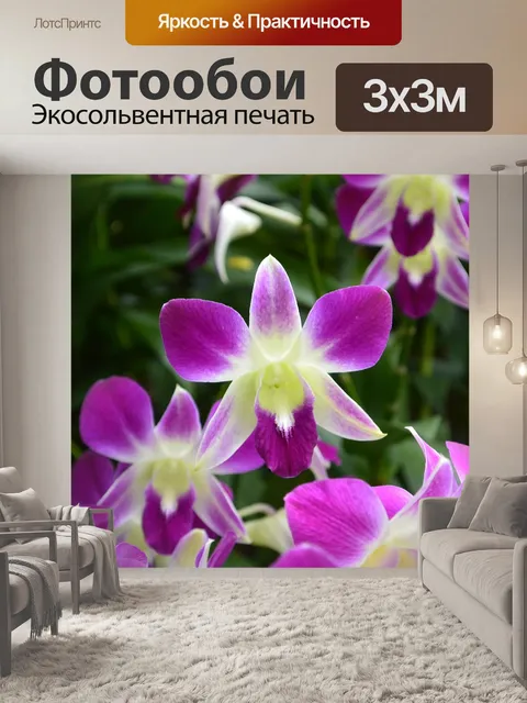 Фотообои Орхидеи