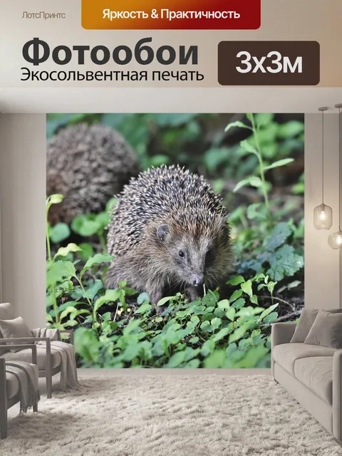 Фотообои Ежик