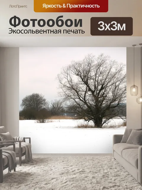 Фотообои Зима